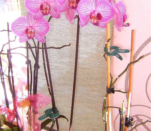 Pensjonat Laerchenhof